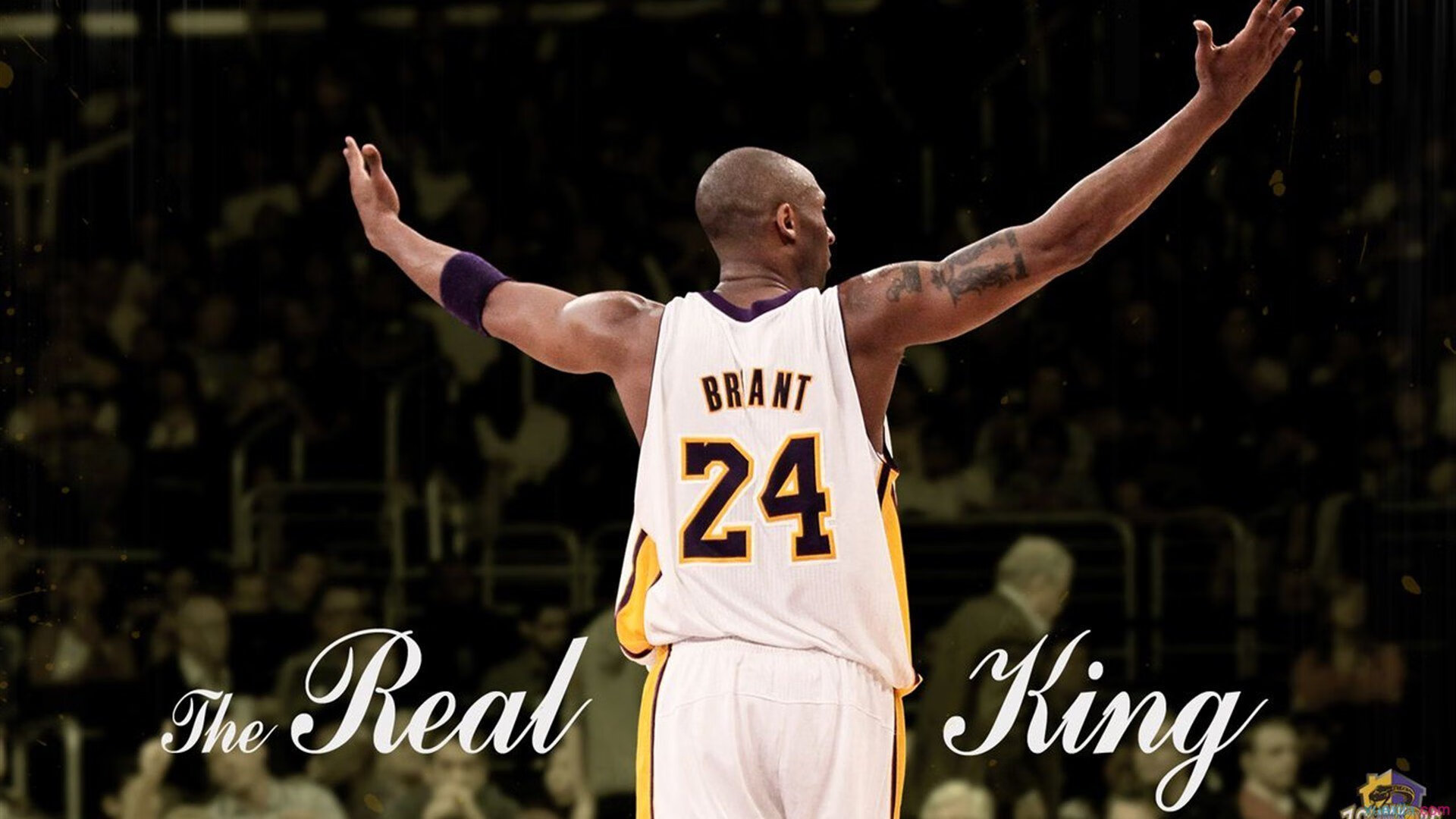 “尼古拉斯·桑特基的比赛掌控力，成为阿根廷美洲狮队的核心力量”